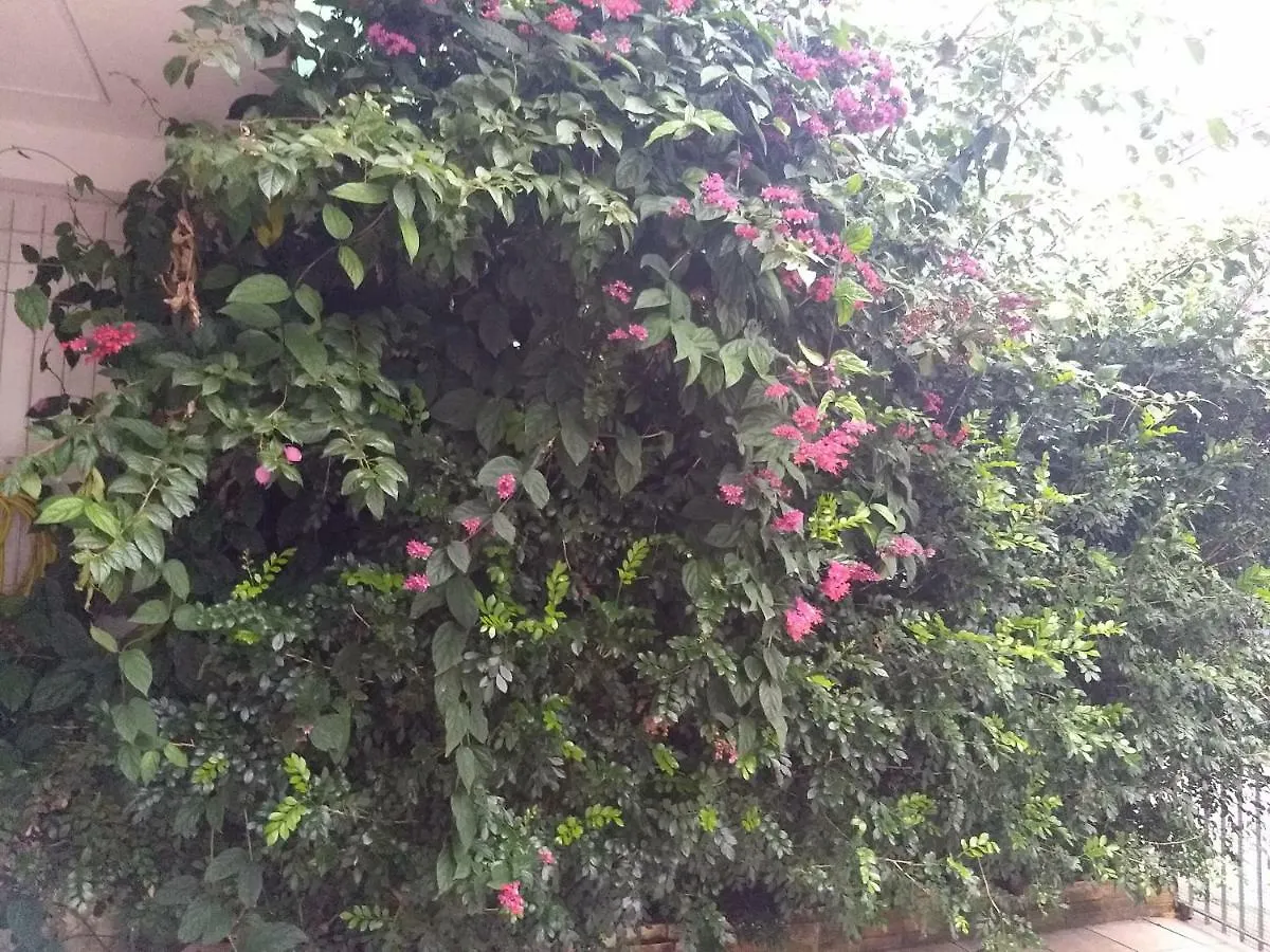 Pousada Sibeus Florianópolis Brazílie
